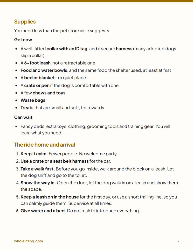 Page 3 of Adopting an Adult Rescue Dog: The First 30 Days