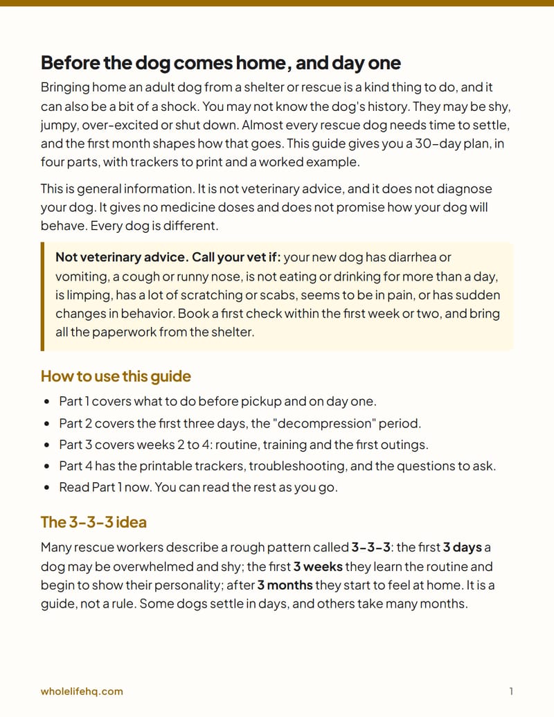 Page 1 of Adopting an Adult Rescue Dog: The First 30 Days