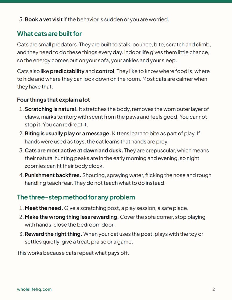 Page 2 of Cat Behavior Basics: Scratching, Biting and Night Zoomies