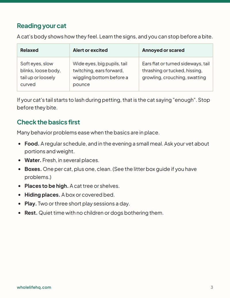 Page 3 of Cat Behavior Basics: Scratching, Biting and Night Zoomies
