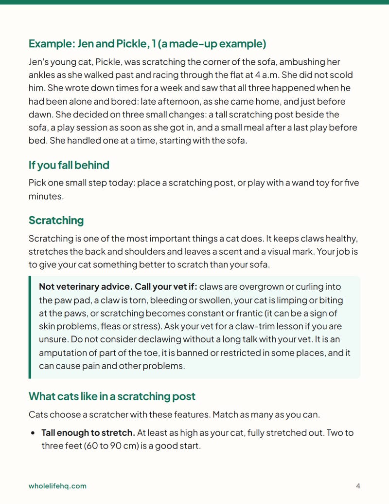 Page 4 of Cat Behavior Basics: Scratching, Biting and Night Zoomies