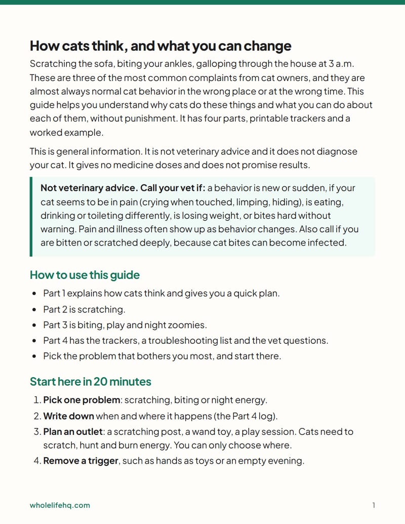Page 1 of Cat Behavior Basics: Scratching, Biting and Night Zoomies