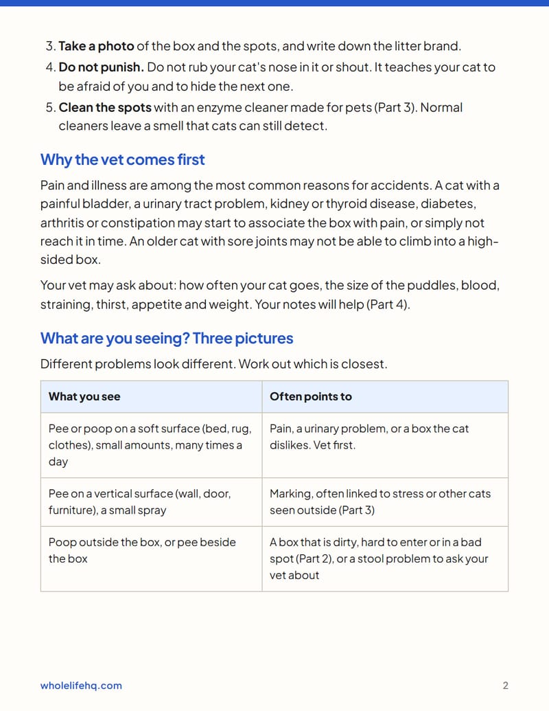 Page 2 of Cat Litter Box Problems: A Step-by-Step Fix