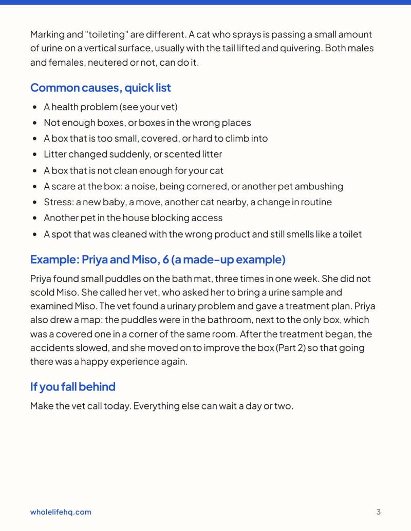 Page 3 of Cat Litter Box Problems: A Step-by-Step Fix
