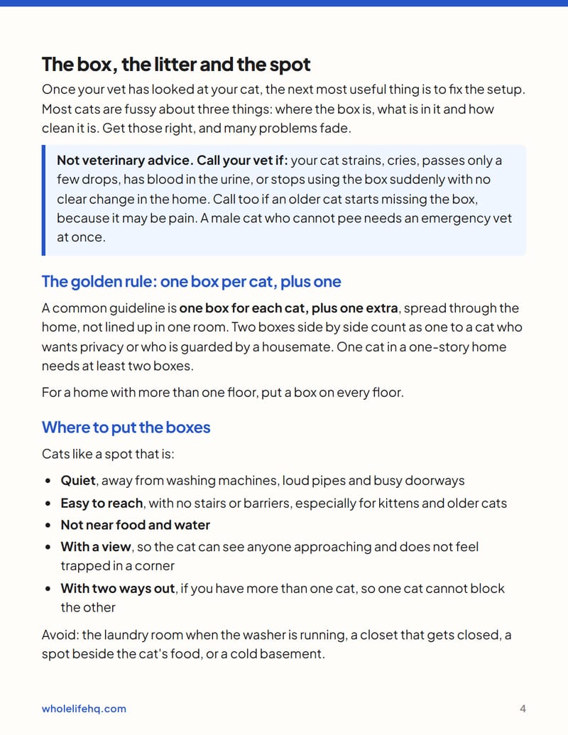 Page 4 of Cat Litter Box Problems: A Step-by-Step Fix