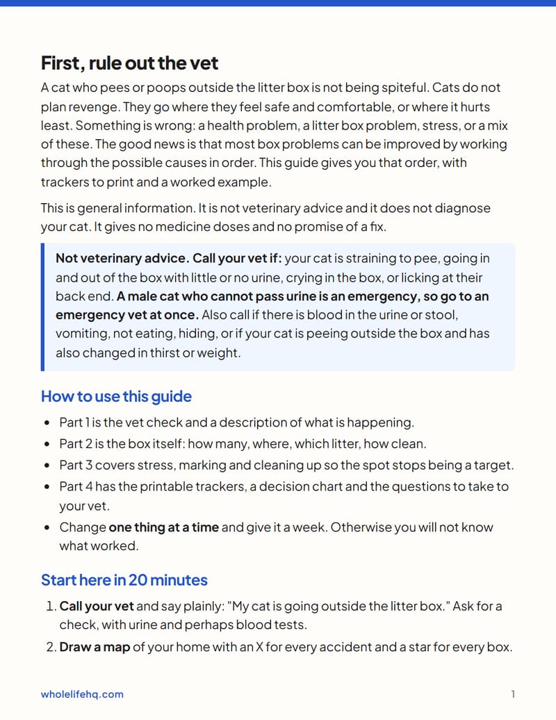 Page 1 of Cat Litter Box Problems: A Step-by-Step Fix