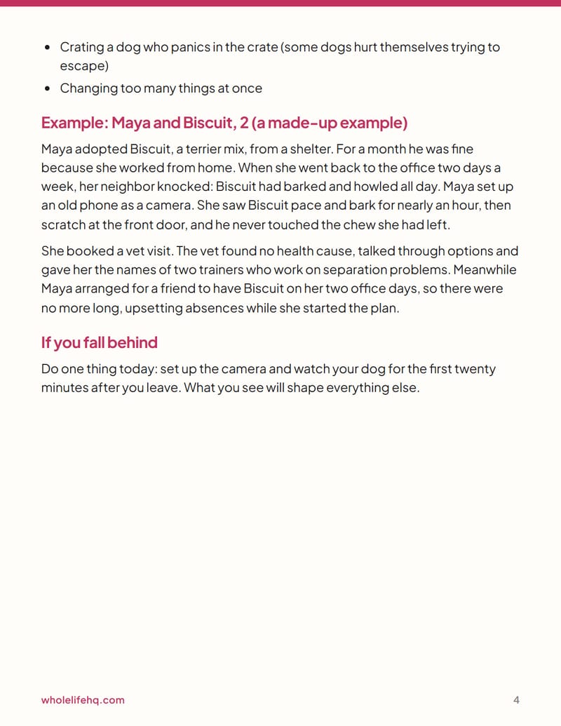 Page 4 of Dog Separation Anxiety: A 6-Week Plan