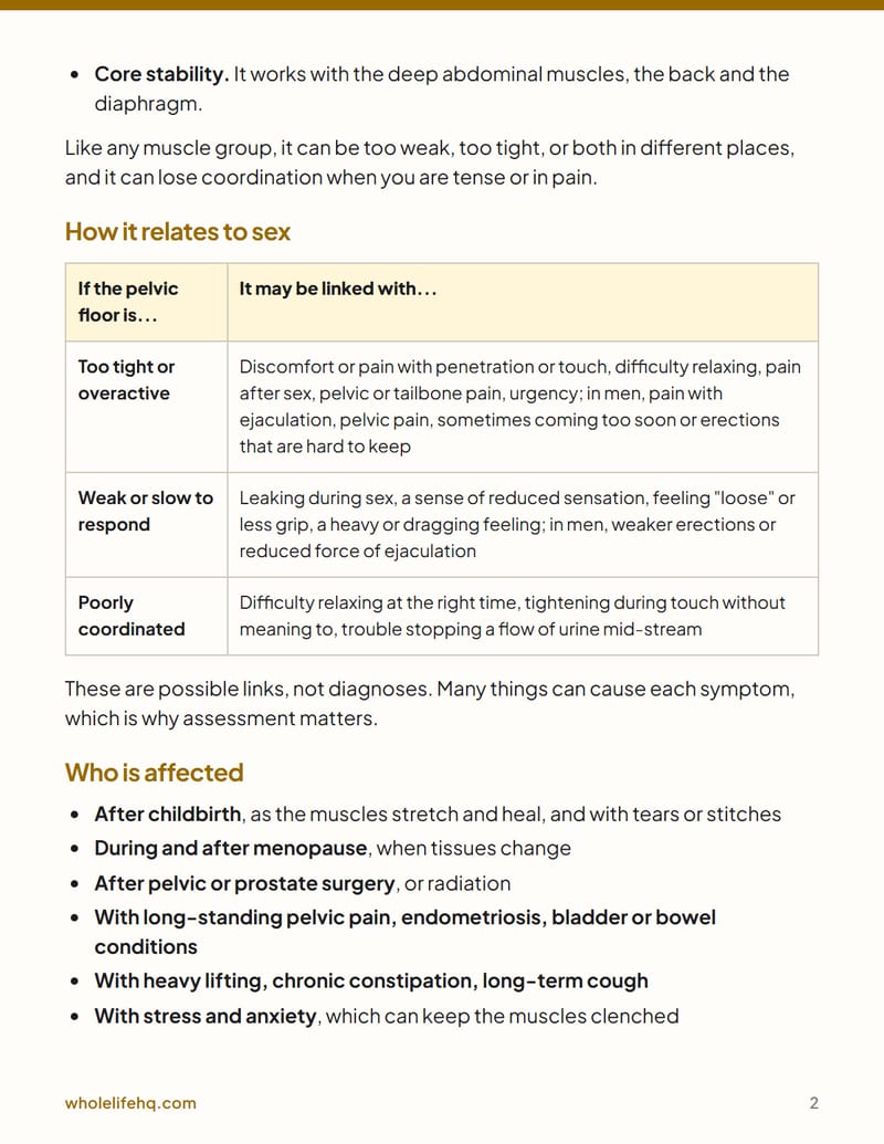 Page 2 of Pelvic Floor and Sexual Comfort: A Guide for Men and Women