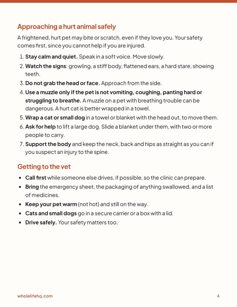 Page 4 of Pet First Aid and the Emergency Sheet