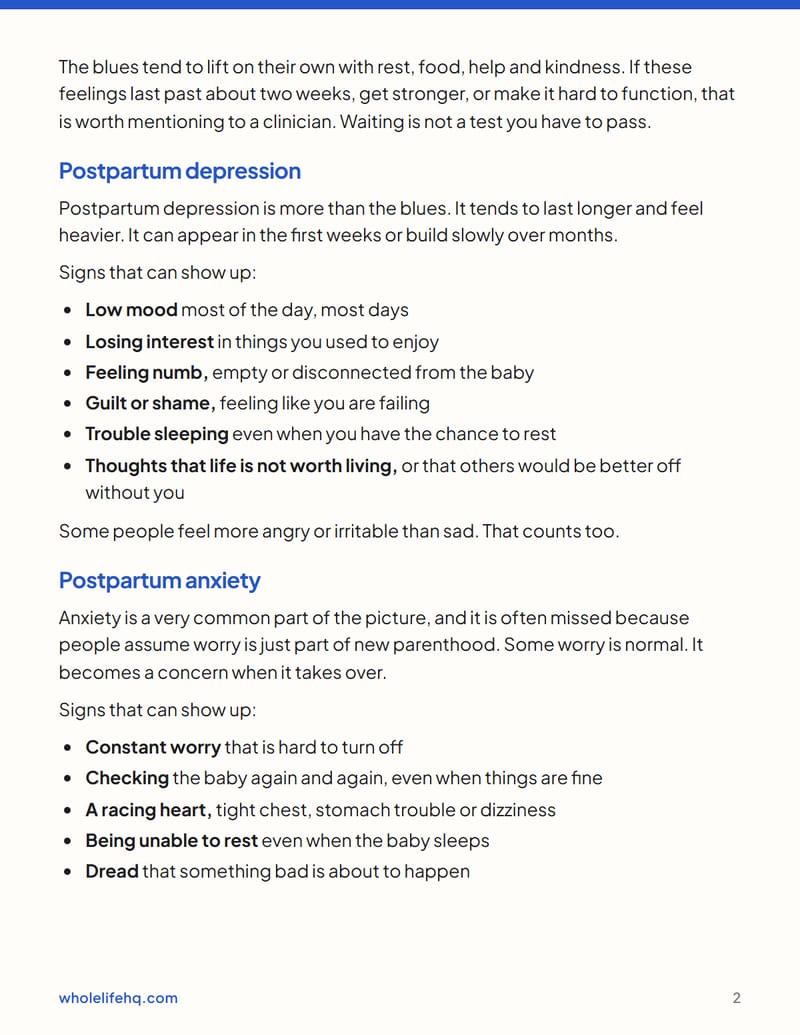 Page 2 of Postpartum Mood and Anxiety: A Plan for the First Year