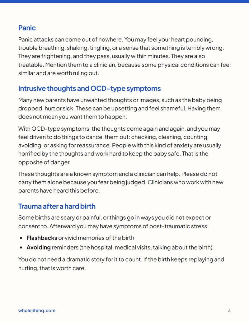 Page 3 of Postpartum Mood and Anxiety: A Plan for the First Year