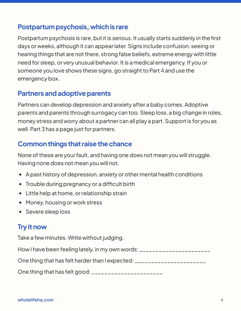 Page 4 of Postpartum Mood and Anxiety: A Plan for the First Year