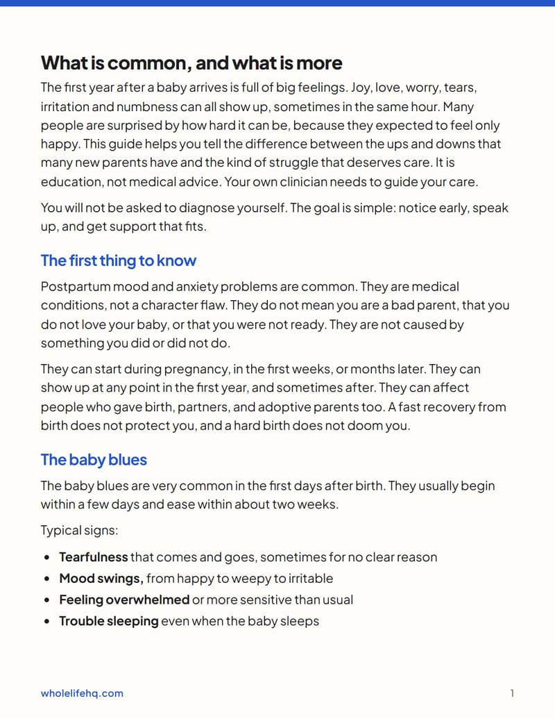 Page 1 of Postpartum Mood and Anxiety: A Plan for the First Year