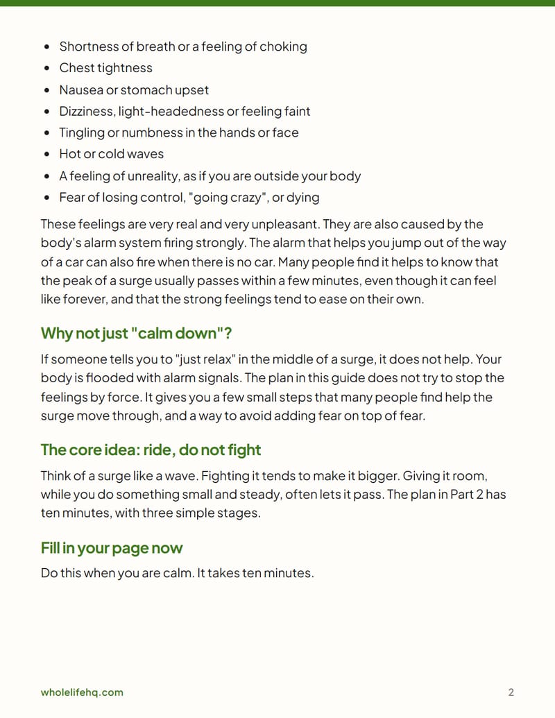 Page 2 of The 10-Minute Panic Plan: What to Do in the Moment, Then the Week After