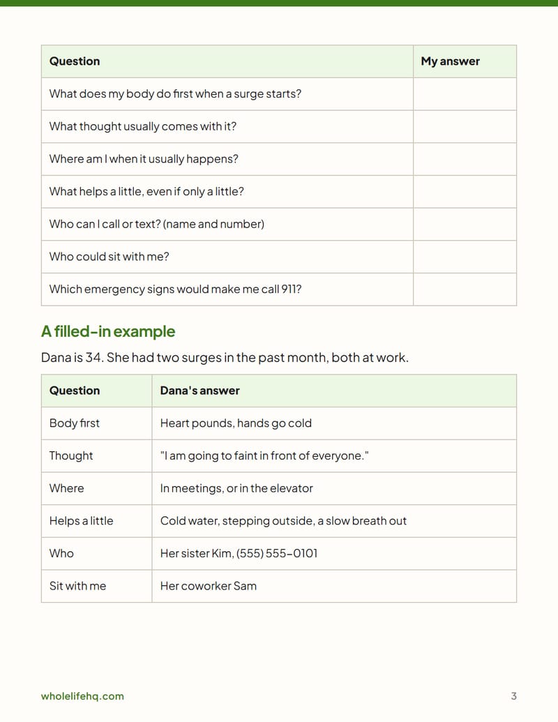 Page 3 of The 10-Minute Panic Plan: What to Do in the Moment, Then the Week After