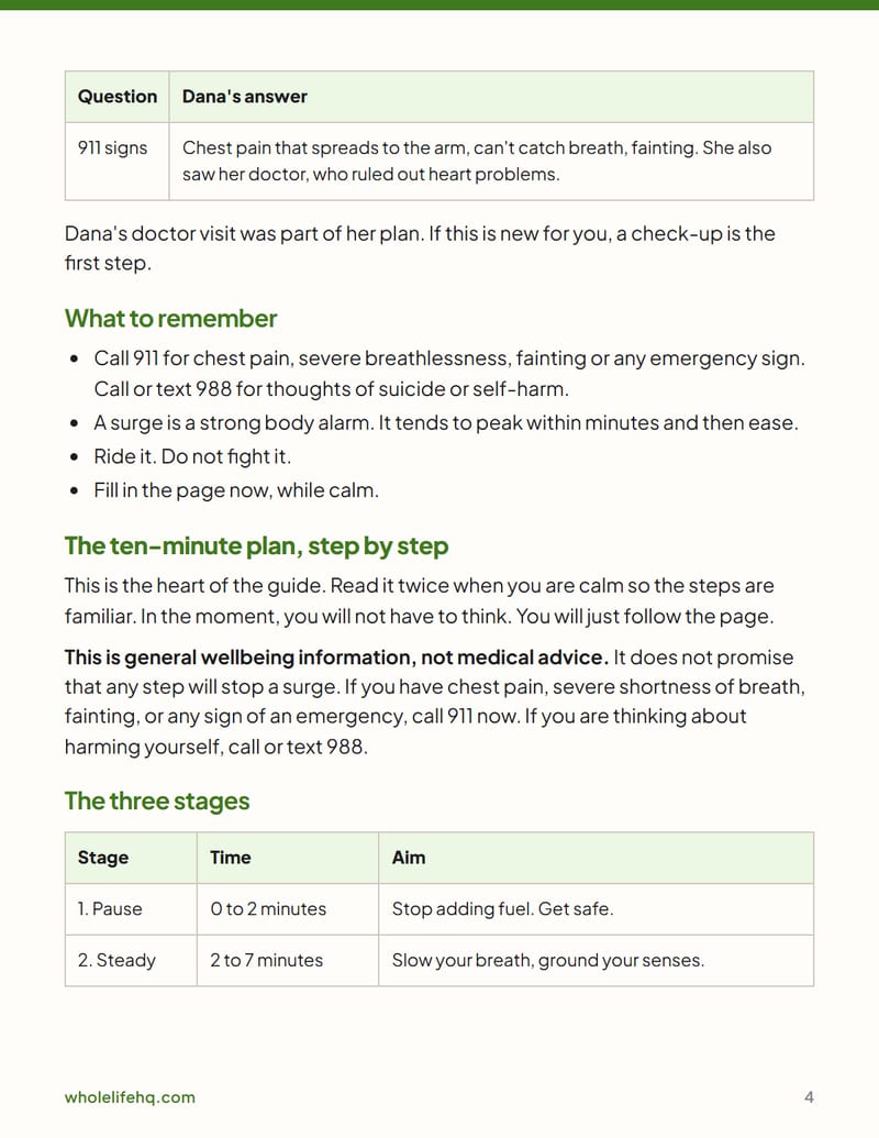 Page 4 of The 10-Minute Panic Plan: What to Do in the Moment, Then the Week After