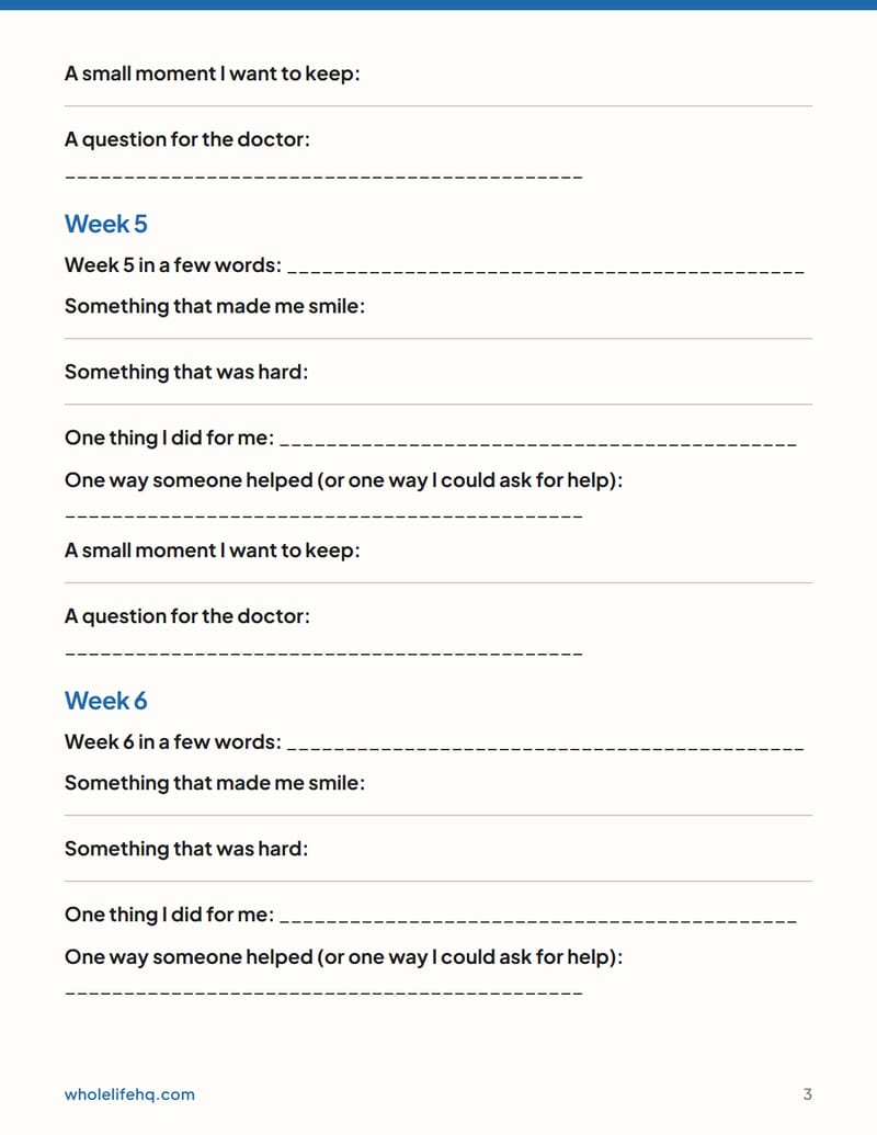 Page 3 of The New-Parent Journal